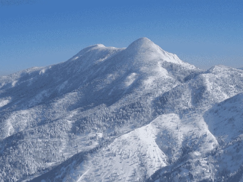 试管小孩的视频做试管精子筛选试管移植吃橘子